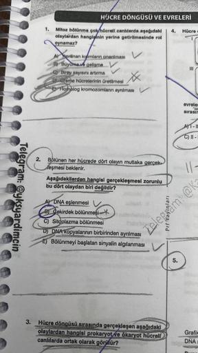 Telegram: @yksyardimcin
3.
1.
HÜCRE DÖNGÜSÜ VE EVRELERİ
Mitoz bölünme çok/hücreli canlılarda aşağıdaki 4. Hücre
olaylardan hangisinin yerine getirilmesinde rol
oynamaz?
V
Apranan kısımların onanılması
B) Büyüme ve gelişme V
C) Birey sayısını artırma
DÜreme