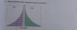 C. Nüfus piramidine göre aşağıdaki soruları yanıtlayınız.
16 14 12
Kadın
Yaş
100+
95-99
90-94
85-89
80-84)
75-79
70-74
65-69
60-64
55-59
50.54
45-49
40-44
35-39
30-34
25-29
20-24
15-19
10-14
5-9
0-4
Nüfus (Milyon)
Erkek
0 12 14 16