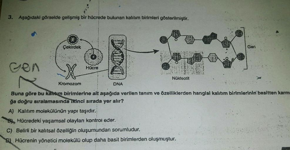 3. Aşağıdaki görselde gelişmiş bir hücrede bulunan kalıtım birimleri gösterilmiştir.
Gen
Çekirdek
X
Kromozom
Hücre
DNA
COVE
calent
BUON
****
Nükleotit
PATIES
1
Such
S
C
Gen
Buna göre bu kahtim birimlerine ait aşağıda verilen tanım ve özelliklerden hangisi 
