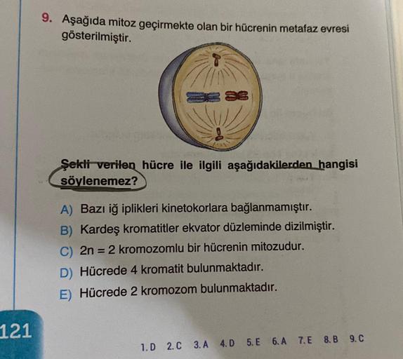 121
9. Aşağıda mitoz geçirmekte olan bir hücrenin metafaz evresi
gösterilmiştir.
Şekli verilen hücre ile ilgili aşağıdakilerden hangisi
söylenemez?
A) Bazı iğ iplikleri kinetokorlara bağlanmamıştır.
B) Kardeş kromatitler ekvator düzleminde dizilmiştir.
C)