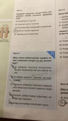 Sentromer
INNNN
des kromotifler
mozomun yapısı)
Soru 2
Aşağıdaki olaylardan hangisi hücre dön-
güsünün mitotik evresinde gerçekleg-
mez?
A) İğ ipliklerinin oluşması
B) Çekirdek zarının oluşması
C) Kromozomlanın belirginliğini kaybetmesi
(D) DNA'nin kendini