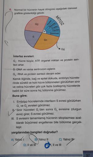 6. Normal bir hücrenin hayat döngüsü aşağıdaki dairesel
grafikte gösterildiği gibidir.
S
G2
M
A) Yalnız I
G1
Profaz
Metafaz
Anafaz
Telofaz
Sitokinez
MITOZ
İnterfaz evreleri:
G₁: Hücre büyür, ATP, organel miktarı ve protein sen-
tezi artar.
S: DNA ve varsa 