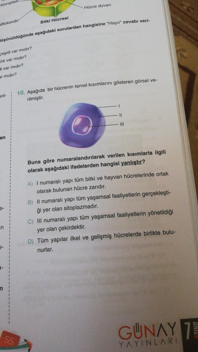 Kloroplast
Mitokondri
Bitki Hücresi
üşünüldüğünde aşağıdaki sorulardan hangisine "Hayır" cevabı veri-
çeşidi var mıdır?
lık var mıdır?
di var mıdır?
ar mıdır?
eril- 10. Aşağıda bir hücrenin temel kısımlarını gösteren görsel ve-
rilmiştir.
en
rı
3-
Hücre du
