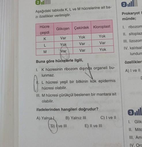 2.
Aşağıdaki tabloda K, L ve M hücrelerine ait ba-
zı özellikler verilmiştir.
Hücre
çeşidi
K
L
M
Glikojen Çekirdek Kloroplast
Var
Yok
Var
Yok
Var
Var
D) Ive III
Yok
Var
Yok
Buna göre hücrelerle ilgili,
I. K hücresinin ribozom dışında organeli bu-
lunmaz.
G