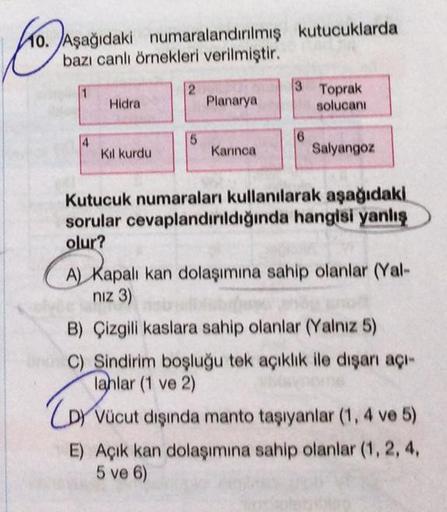 Jo..
10. Aşağıdaki numaralandırılmış kutucuklarda
bazı canlı örnekleri verilmiştir.
Hidra
Kıl kurdu
2
5
Planarya
Karınca
3 Toprak
solucanı
6
Salyangoz
Kutucuk numaraları kullanılarak aşağıdaki
sorular cevaplandırıldığında hangisi yanlış
olur?
A) Kapalı kan