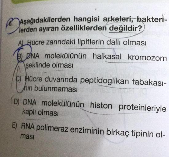 PAS
Aşağıdakilerden hangisi arkeleri, bakteri-
lerden ayıran özelliklerden değildir?
AL Hücre zarındaki lipitlerin dallı olması
B) DNA molekülünün halkasal kromozom
şeklinde olması
C) Hücre duvarında peptidoglikan tabakası-
hin bulunmaması
D) DNA molekülün