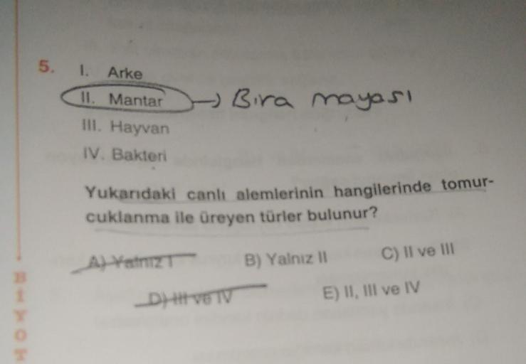 5. 1. Arke
II. Mantar
III. Hayvan
IV. Bakteri
→ Bira mayası
Yukarıdaki canlı alemlerinin hangilerinde tomur-
cuklanma ile üreyen türler bulunur?
A) Yalniz
_D) | ve TV
B) Yalnız II
C) II ve III
E) II, III ve IV