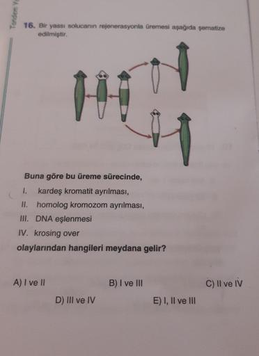 Tandem Ya
16. Bir yassı solucanın rejenerasyonla üremesi aşağıda şematize
edilmiştir.
Buna göre bu üreme sürecinde,
1. kardeş kromatit ayrılması,
II. homolog kromozom ayrılması,
III. DNA eşlenmesi
IV. krosing over
olaylarından hangileri meydana gelir?
A) I