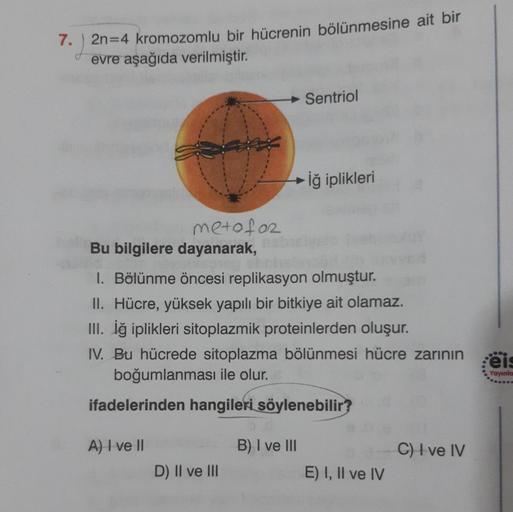 2
2n=4 kromozomlu bir hücrenin bölünmesine ait bir
evre aşağıda verilmiştir.
metofoz
Bu bilgilere dayanarak,
pobrih
1. Bölünme öncesi replikasyon olmuştur.
A) I ve II
Sentriol
II. Hücre, yüksek yapılı bir bitkiye ait olamaz.
III. İğ iplikleri sitoplazmik p