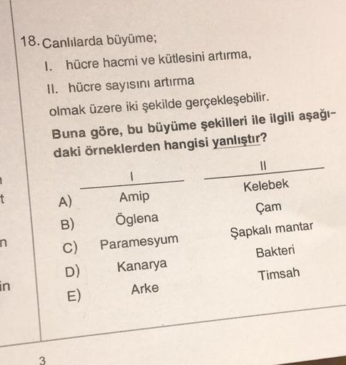 t
m
in
18. Canlılarda büyüme;
1. hücre hacmi ve kütlesini artırma,
II. hücre sayısını artırma
olmak üzere iki şekilde gerçekleşebilir.
3
Buna göre, bu büyüme şekilleri ile ilgili aşağı-
daki örneklerden hangisi yanlıştır?
A)
B)
C)
D)
E)
1
Amip
Öglena
Param