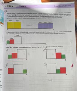 7 erkek y
gili bilg
in ede
pü-
re-
sa-
göre
ola
1. Bölüm
V
8.
ww
Doğrusal bir yola A noktasından başlanarak kenar uzunluğu 3 dm olan küp şeklindeki sarı kutuların ve B noktasından başlana-
rak kenar uzunluğu 2 dm olan küp şeklindeki mavi kutuların yerleşimi yapılacaktır. Kutuların yerleşimi şu kurala göre olacaktır.
A noktasından başlanarak 2 tane sarı kutu yerleştirildikten sonra, B noktasına geçilecek 3 mavi kutu yerleştirilecektir. Daha son-
ra 2 sarı, 3 mavi kutu sırasıyla kutuların arasında boşluk olmayacak şekilde yerleştirilmeye devam edilecektir.
3dm
3dm
1dm
TEST-4
2dm
yes mat
A
A ile B noktası arasında boşluk kalmadan 27 tane kutu yerleştirilebilmiştir. A noktasından başlanarak kenar uzunlukları verilen
küp şeklindeki yeşil, kırmızı ve beyaz kutular sırasıyla B noktasına kadar aralarında boşluk kalmadan yerleştiriliyor.
4dm
2dm 2dm 2dm
B
B
B
Doğal Sayılarla İşlemler
B
A
Buna göre yolun son kısmında bulunan son üç kutunun görünümü aşağıdakilerden hangisi gibi olur?
895
B
B