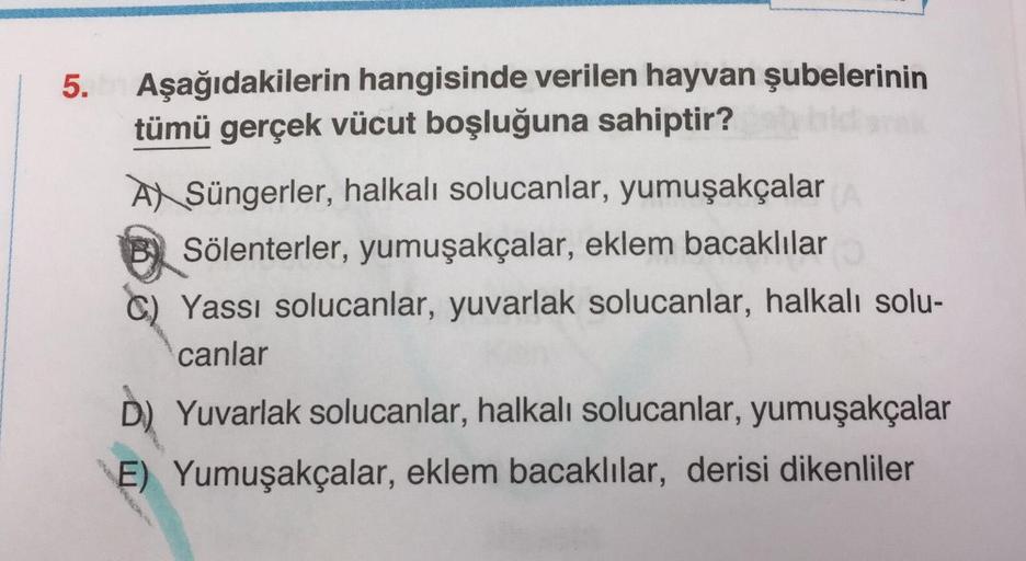 5.
Aşağıdakilerin hangisinde verilen hayvan şubelerinin
tümü gerçek vücut boşluğuna sahiptir?
A Süngerler, halkalı solucanlar, yumuşakçalar
Sölenterler, yumuşakçalar, eklem bacaklılar
C) Yassı solucanlar, yuvarlak solucanlar, halkalı solu-
canlar
D) Yuvarl