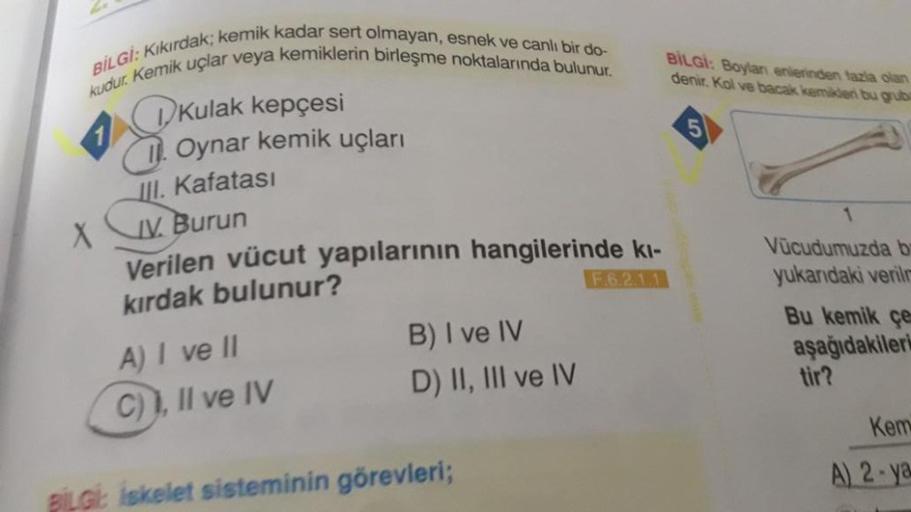 BİLGİ: Kıkırdak; kemik kadar sert olmayan, esnek ve canlı bir do-
kudur. Kemik uçlar veya kemiklerin birleşme noktalarında bulunur.
X
Kulak kepçesi
Oynar kemik uçları
III. Kafatası
IV. Burun
Verilen vücut yapılarının hangilerinde kı-
kırdak bulunur?
F.6.2.