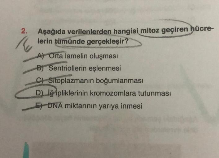 2. Aşağıda verilenlerden hangisi mitoz geçiren hücre-
1
lerin tümünde gerçekleşir?
A) Orta lamelin oluşması
B) Sentriollerin eşlenmesi
C) Sitoplazmanın boğumlanması
D) iğ ipliklerinin kromozomlara tutunması
E DNA miktarının yarıya inmesi