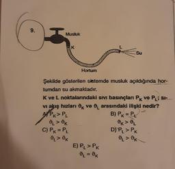 9.
Musluk
K
Hortum
Su
Şekilde gösterilen sistemde musluk açıldığında hor-
tumdan su akmaktadır.
K ve L noktalarındaki sıvı basınçları Pk ve PL; SI-
K
vi akış hızları Ok ve 0 arasındaki ilişki nedir?
APK > PL
B) PK = PL
ÜL > OK
Ok > DL
C) PK = PL
D) PL > PK
DL> OK
ÜL > OK
E) PL > PK
₁ = k