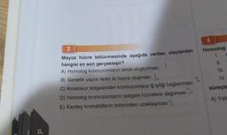 d
2
Mayoz hücre bölünmesinde aşağıda verilen olaylardan
hangisi en son gerçekleşir?
A) Homolog kromozomların tetrat oluşturması
B) Genetik yapısı farklı iki hücre oluşması
C) Kinetokor bölgesinden kromozomlara iğ ipliği bağlanması
D) Homolog kromozomların rastgele hücrelere dağılması
E) Kardeş kromatidlerin birbirinden uzaklaşması S
2
Homolog
1.
11.
III.
C
IV.
süreçle
A) Yaln