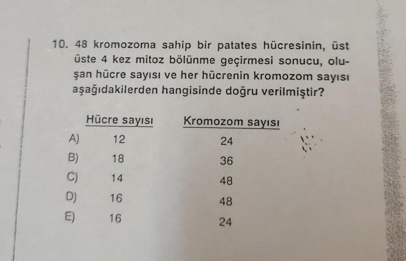 10. 48 kromozoma sahip bir patates hücresinin, üst
üste 4 kez mitoz bölünme geçirmesi sonucu, olu-
şan hücre sayısı ve her hücrenin kromozom sayısı
aşağıdakilerden hangisinde doğru verilmiştir?
A)
B)
C)
D)
E)
Hücre sayısı
12
18
14
16
16
Kromozom sayısı
24