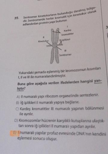 35.
Sentromer kinetokorların bulunduğu daralmış bölge-
dir. Sentromerde herbir kromatit için kinetokor olarak
adlandırılan protein yapı bulunur.
11
Kinetokor
1
Kardeş
kromatitler
Iğ iplikleri
11
Sentromer
Yukarıdaki şemada eşlenmiş bir kromozomun kısımları