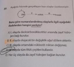 39.
Aşağıda hücrede gerçekleşen bazı olaylar özetlenmiştir.
DNA
11
mRNA
111
→→Protein
Buna göre numaralandırılmış olaylarla ilgili aşağıdaki
ifadelerden hangisi yanlıştır?
A) I. olayda deoksiribonukleotitler arasında zayıf hidro-
jen bağı kurulur.
B) II. olayda oluşacak bir değişiklik oğul döllere aktarılır.
C) III. olayda ortamdaki nükleotit miktarı değişmez.
Dolayda tüm RNA çeşitleri kullanılır.
E) Her üç olayda da zayıf hidrojen bağlanı kurulur.