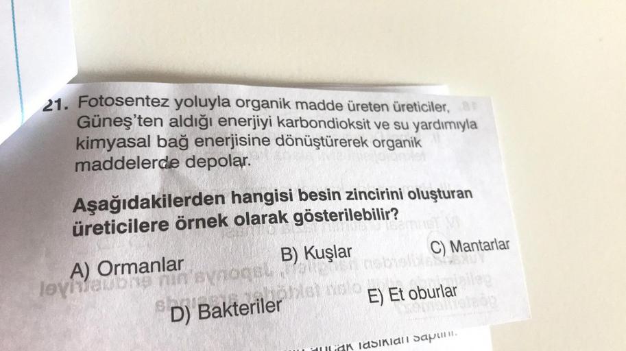 21. Fotosentez yoluyla organik madde üreten üreticiler, a
Güneş'ten aldığı enerjiyi karbondioksit ve su yardımıyla
kimyasal bağ enerjisine dönüştürerek organik
maddelerde depolar.
Aşağıdakilerden hangisi besin zincirini oluşturan
üreticilere örnek olarak g