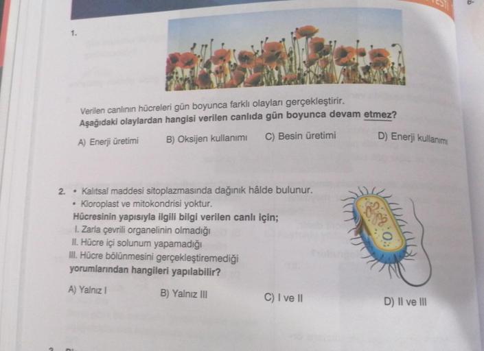 1.
Verilen canlının hücreleri gün boyunca farklı olayları gerçekleştirir.
Aşağıdaki olaylardan hangisi verilen canlıda gün boyunca devam etmez?
D) Enerji kullanımı
A) Enerji üretimi
B) Oksijen kullanımı
C) Besin üretimi
2. Kalıtsal maddesi sitoplazmasında 