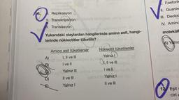 J
1. Replikasyon
II. Transkripsiyon
ulmu
STA
I. Translasyon
lit ugyu enibreses onics imisho satainee AMA (A
Yukarıdaki olaylardan hangilerinde amino asit, hangi-
lerinde nükleotitler tüketilir? nellies on
onimA (8)
lobsti isbipsas ,öp snu8
C
D)
ald.obriest..
Amino asit tüketilenler
A)
I, II ve III
nabissi misis asmnslösd sy'AV
B)
I ve Il
Salmel
Nükleotit tüketilenler
Yalnız I
IZD
DEB onimA (0
I, II ve III
01, 11
d By A Yalnız III onims imisno
Il ve III
Yalnız I
I ve II
and fe Yalniz Ince nat
Il ve III
(13
Fosforik
II. Guanin
III. Deoksi
IV. Aminc
moleküll
A) Yalnız
-lo nobol 312
-ep 08 010
jasmlo 11
12. Eşit s
ciri a