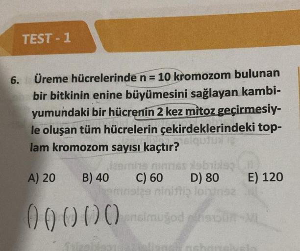 TEST-1
6. Üreme hücrelerinde n = 10 kromozom bulunan
bir bitkinin enine büyümesini sağlayan kambi-
yumundaki bir hücrenin 2 kez mitoz geçirmesiy-
le oluşan tüm hücrelerin çekirdeklerindeki top-
lam kromozom sayısı kaçtır?
A) 20
B) 40 C) 60 D) 80 E) 120
min