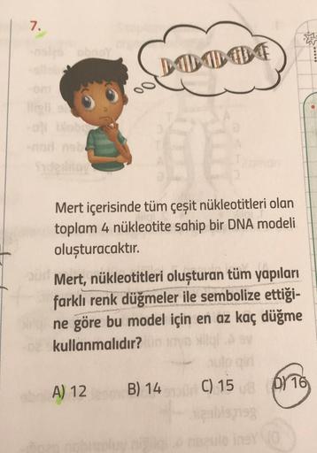 7.
-01 Mob
DOOOT
Mert içerisinde tüm çeşit nükleotitleri olan
toplam 4 nükleotite sahip bir DNA modeli
oluşturacaktır.
Mert, nükleotitleri oluşturan tüm yapıları
farklı renk düğmeler ile sembolize ettiği-
ne göre bu model için en az kaç düğme
-02 kullanmal