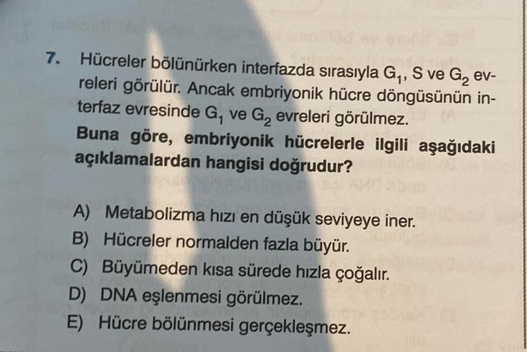 7. Hücreler bölünürken interfazda sırasıyla G₁, S ve G₂ ev-
releri görülür. Ancak embriyonik hücre döngüsünün in-
terfaz evresinde G₁ ve G₂ evreleri görülmez.
Buna göre, embriyonik hücrelerle ilgili aşağıdaki
açıklamalardan hangisi doğrudur?
A) Metabolizma