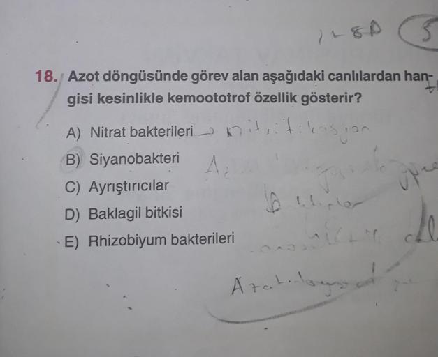 1180
18. Azot döngüsünde görev alan aşağıdaki canlılardan han-
gisi kesinlikle kemoototrof özellik gösterir?
A) Nitrat bakterilerinititikasion
B) Siyanobakteri 1₂
C) Ayrıştırıcılar
D) Baklagil bitkisi
E) Rhizobiyum bakterileri
16
1
letirler
5
Azatilay