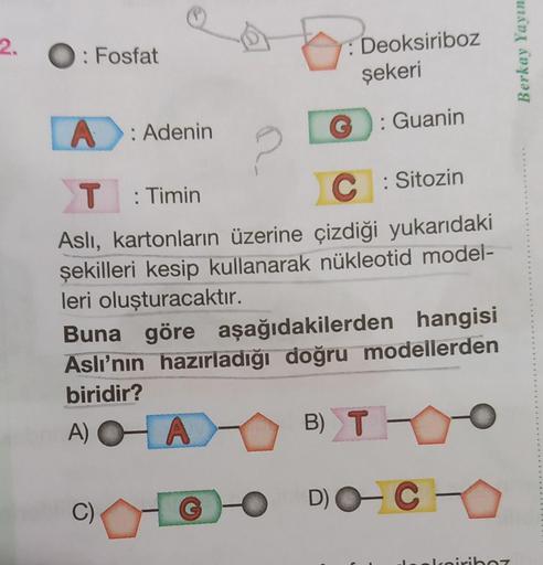 2. O: Fosfat
[
A: Adenin
: Deoksiriboz
şekeri
G: Guanin
T: Timin
C: Sitozin
Aslı, kartonların üzerine çizdiği yukarıdaki
şekilleri kesip kullanarak nükleotid model-
leri oluşturacaktır.
Buna göre aşağıdakilerden hangisi
Aslı'nın hazırladığı doğru modellerd