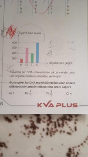 d
Cory
85
400
300
200
100
Organik baz sayısı
hl
A) 1
AGTC
G
A
A
hoo
196
Organik baz çeşidi
600
kanda bir DNA molekülünün tek zincirinde bulu-
nan organik bazların miktarları verilmiştir.
3
2
Buna göre, bu DNA molekülünde bulunan sitozin
nükleotitinin adeni