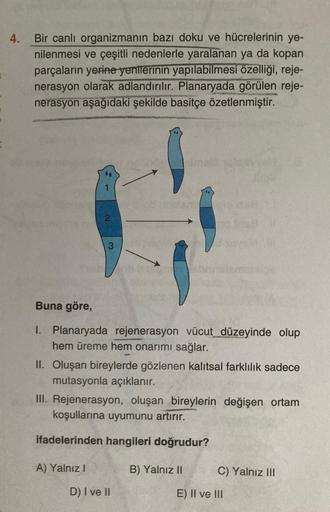 4.
Bir canlı organizmanın bazı doku ve hücrelerinin ye-
nilenmesi ve çeşitli nedenlerle yaralanan ya da kopan
parçaların yerine yentlerinin yapılabilmesi özelliği, reje-
nerasyon olarak adlandırılır. Planaryada görülen reje-
nerasyon aşağıdaki şekilde basi