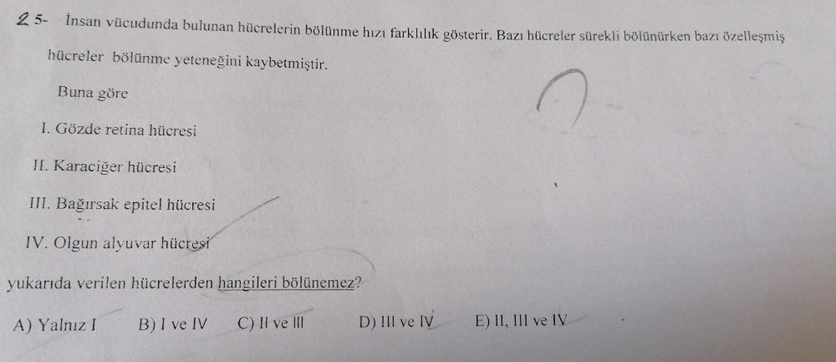 25- İnsan vücudunda bulunan hücrelerin bölünme hızı farklılık gösterir. Bazı hücreler sürekli bölünürken bazı özelleşmiş
hücreler bölünme yeteneğini kaybetmiştir.
Buna göre
O
I. Gözde retina hücresi
II. Karaciğer hücresi
III. Bağırsak epitel hücresi
IV. Ol