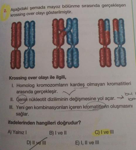 2. Aşağıdaki şemada mayoz bölünme sırasında gerçekleşen
krossing over olayı gösterilmiştir.
W
00
00
00
Krossing over olayı ile ilgili,
I. Homolog kromozomların kardeş olmayan kromatitleri
arasında gerçekleşir.
II. Genin nükleotit diziliminin değişmesine yo