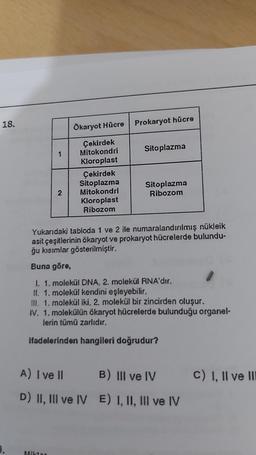 18.
1
2
Miktar
Ökaryot Hücre
Çekirdek
Mitokondri
Kloroplast
Çekirdek
Sitoplazma
Mitokondri
Kloroplast
Ribozom
Prokaryot hücre
Sitoplazma
Sitoplazma
Ribozom
Yukarıdaki tabloda 1 ve 2 ile numaralandırılmış nükleik
asit çeşitlerinin ökaryot ve prokaryot hücrelerde bulundu-
ğu kısımlar gösterilmiştir.
Buna göre,
1. 1. molekül DNA, 2. molekül RNA'dır.
II. 1. molekül kendini eşleyebilir.
Ill. 1. molekül iki, 2. molekül bir zincirden oluşur.
IV. 1. molekülün ökaryot hücrelerde bulunduğu organel-
lerin tümü zarlıdır.
ifadelerinden hangileri doğrudur?
A) I ve II
D) II, III ve IV E) I, II, III ve IV
B) III ve IV C) I, II ve III