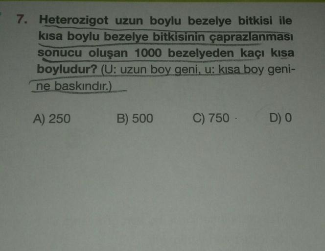7. Heterozigot uzun boylu bezelye bitkisi ile
kısa boylu bezelye bitkisinin çaprazlanması
sonucu oluşan 1000 bezelyeden kaçı kısa
boyludur? (U: uzun boy geni, u: kısa boy geni-
ne baskındır.)
A) 250
B) 500
C) 750.
D) O