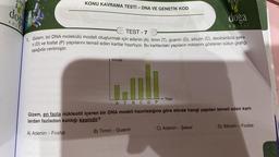 dog
KOLE
KONU KAVRAMA TESTİ - DNA VE GENETİK KOD
TEST-7
1. Gizem, bir DNA molekülü modeli oluşturmak için adenin (A), timin (T), guanin (G), sitozin (C), deoksiriboz şeke-
ri (D) ve fosfat (P) yapılarını temsil eden kartlar hazırlıyor. Bu kartlardaki yapıların miktarını gösteren sütun grafiği
aşağıda verilmiştir.
Miktar
Yapı
B) Timin- Guanin
doğa
KOLEJI
A T GCDP
Gizem, en fazla nükleotit içeren bir DNA modeli hazırladığına göre elinde hangi yapıları temsil eden kart-
lardan fazladan kaldığı kesindir?
A) Adenin - Fosfat
C) Adenin - Şeker
D) Sitozin - Fosfat