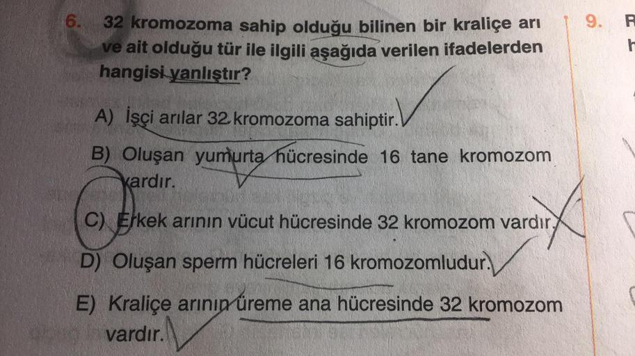 6.
32 kromozoma sahip olduğu bilinen bir kraliçe arı
ve ait olduğu tür ile ilgili aşağıda verilen ifadelerden
hangisi yanlıştır?
A) İşçi arılar 32 kromozoma sahiptir.
B) Oluşan yumurta hücresinde 16 tane kromozom
kardır.
C) Erkek arının vücut hücresinde 32