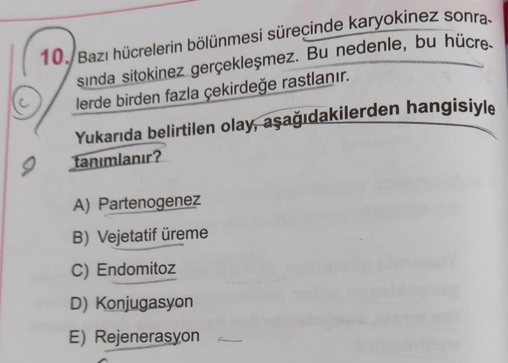 10. Bazı hücrelerin bölünmesi sürecinde karyokinez sonra-
sında sitokinez gerçekleşmez. Bu nedenle, bu hücre-
lerde birden fazla çekirdeğe rastlanır.
Yukarıda belirtilen olay, aşağıdakilerden hangisiyle
tanımlanır?
A) Partenogenez
B) Vejetatif üreme
C) End