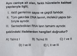 Aynı canlıya ait olan, farklı hücrelerin kalıtsal
yapılarıyla ilgili;
1. Aktif genlerinin sayısı ve çeşidi farklıdır.
II. Tüm çekirdek DNA larının, molekül yapısı bir-
biriyle aynıdır.
III. Sentezledikleri RNA ların tamamı aynıdır.
şeklindeki ifadelerden hangileri doğrudur?
A) Yalnız !
D) I ve Ill
B) Yainız III
E) I, II ve III
C) I ve II