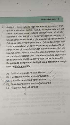 Türkçe Deneme - 7
31. Pangolin, derisi pullarla kaplı tek memeli hayvandır. Pan-
golinlerin vücutları, başları, kuyruk, kol ve bacaklarının üst
kısmı keratinden oluşan pullarla kaplıdır. Pullar, vücut ağır-
lıklarının %20'sini oluşturur. En büyük özellikle