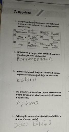 7. Uygulama
6. Aşağıda verilen yapılandırılmış Grid'de kutucuk
numaralarını kullanarak aşağıdaki soruları
cevaplayınız.
5
Rejenerasyon
Mitoz
Bölünme
Sünger
Koloni
6 Doku
kültürü ile
üreme
10
Partenogenez
3
Spor ile
üreme
Daldırma
4
8
Aşılama
Yumru ile
ürem