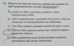 15. Ökaryot bir hücrede bulunan nükleik asit çeşitleri ile
ilgili aşağıdakilerden hangisi söylenemez?
A) mRNA ve rRNA çekirdekte üretilirken, tRNA
sitoplazmada üretilir.
B) DNA moleküllerinden çekirdekte bulunanları doğrusal,
mitokondri ve kloroplasttakiler ise halkasaldır.
C) Tüm RNA çeşitleri polipeptit sentezinde görev yapar.
D) DNA ve RNA yapısına katılan tüm nükleotit çeşitleri
birbirinden farklıdır.
E) RNA çeşitlerinde kural olarak pürinlerin sayısının
pirimidinlere eşit olması beklenmez.