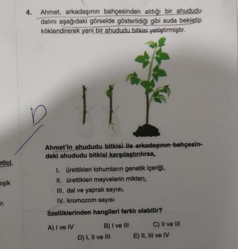 etici
eşik
ir.
4. Ahmet, arkadaşının bahçesinden aldığı bir ahududu
dalını aşağıdaki görselde gösterildiği gibi suda bekletip
köklendirerek yeni bir ahududu bitkisi yetiştirmiştir.
Ahmet'in ahududu bitkisi ile arkadaşının bahçesin-
deki ahududu bitkisi kar