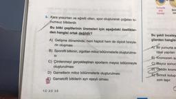 3. Kara yosunları ve eğrelti otları, spor oluşturarak çoğalan to-
humsuz bitkilerdir.
Bu bitki çeşitlerinin üremeleri için aşağıdaki özellikler-
den hangisi ortak değildir?
A) Gelişme döneminde, hem haploit hem de diploit bireyle-
rin oluşması anelst
no lero
B) Sporofit bitkinin, zigottan mitoz bölünmelerle oluşturulma-
SI
20
C) Çimlenmeyi gerçekleştiren sporların mayoz bölünmeyle
oluşturulması
D) Gametlerin mitoz bölünmelerle oluşturulması
E) Gametofit bitkilerin ayrı eşeyli olması
1.C 2.C 3.E
Yumurta
ana
hücresi
Birin
009
Bu şekli inceley
gilerden hangisi
A) Bir yumurta a
litsal yapıları
B) Kromozom sa
C) Mayoz sonuc
D) Ootidin kromo
E Birincil kutup
zom taşır.