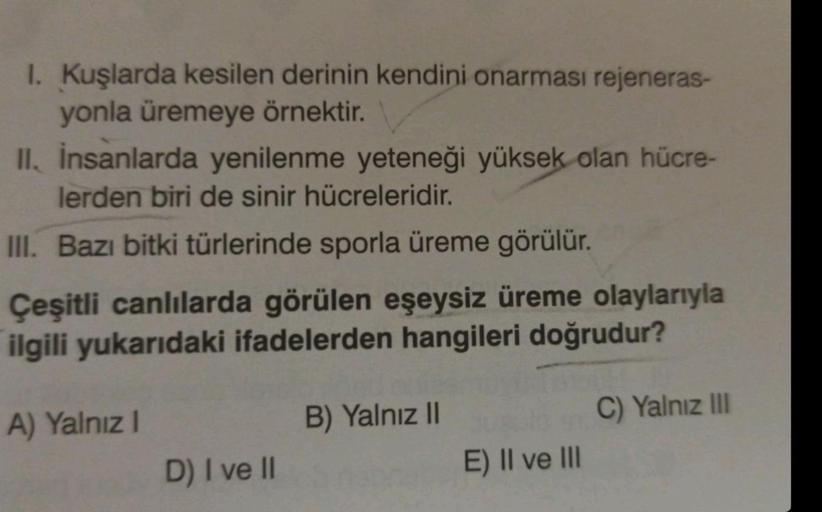 I. Kuşlarda kesilen derinin kendini onarması rejeneras-
yonla üremeye örnektir.
II. İnsanlarda yenilenme yeteneği yüksek olan hücre-
lerden biri de sinir hücreleridir.
III. Bazı bitki türlerinde sporla üreme görülür.
Çeşitli canlılarda görülen eşeysiz ürem