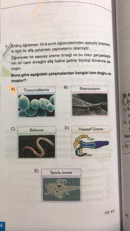 6
Erdinç öğretmen 10-A sınıfı öğrencilerinden eşeysiz üremey-
le ilgili bir afiş çalışması yapmalarını istemiştir.
Öğrenciler bir eşeysiz üreme örneği ve bu olayı gerçekleşti-
ren bir canlı örneğini afiş haline getirip biyoloji duvarına as-
mıştır.
Buna göre aşağıdaki çalışmalardan hangisi tam doğru ol-
muştur?
A)
C)
Tomurcuklanma
Bölünme
S
E)
on B)
D)
holde 60
bhs)
undara
Rejenarasyon
Sporla üreme
Vejatatif Üreme
equate to
Syllday
HOE YA
en Histojev (
3.D 4.A
Bu ş
11/M
y
III. S
L
kara
(A)
5.B