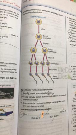 VE
EŞEYSİZ ÜREME
bulunur. Ataların her biri
ptir. Bu şekilde iki game-
ne "eşeyli üreme" denir.
eme için,
ırır.
ni sağlar.
remeden ayrılır.
r?
I, II ve III
C) Yalnız III
nden eşeysiz üremey-
temiştir.
bu olayı gerçekleşti-
biyoloji duvarına as-
Ins Jeng (8)
angisi tam doğru ol-
Rejenarasyon
jatatif Üreme
Sorarlar
Aşağıdaki şekilde insanın testislerinde gerçekleşen sperma-
olayı gösterilmiştir.
togenez
Spermatogonyum
2n
A) Yalnız I
Mitoz
Birincil
spermatosit
Mayoz I
FISH a
D) II ve III
İkincil
spermatosit
Mayoz II
gebloeg einmaleneb
n Spermatitler
able Farklılaşma
Bu şekildeki verilerden yararlanılarak,
Mayoz
Mayoza birincil spermatositler girer.
Mayoz sonucu oluşan spermatitlerin dölleme ve hareket
yetenekleri yoktur
1. Spermatitlerden farklılaşma ile spermler oluşurken hücre-
lerin çekirdek sayısı artar.
kararlarından hangilerine varılabilir?
Sperm
hücreleri
B) I ve II
UcDo
Best
E) I, II ve III
6. Eşeyli üreme
döllenmemiş
mesidir. Bal
sürüngenlerd
Cive I
CH
Bu bilgileres
Cekirdek
Xalıtsal
Sadece
V. Kismi es
yorumların
A) Yalnız
7. Bitkile
doku
Doku
bitkin
ku, bi
Bu yönte
Ana-
bitki
Kültürü
yapılacak
kök ucu
Buna
Bes
eld
Ka
me
11. Ye
rir
yarg
A) Ya