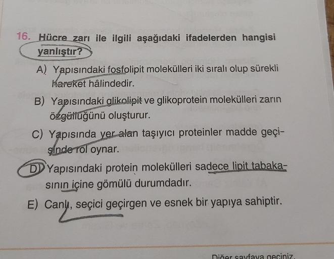 16. Hücre zarı ile ilgili aşağıdaki ifadelerden hangisi
yanlıştır?
A) Yapısındaki fosfolipit molekülleri iki sıralı olup sürekli
Hareket hâlindedir.
B) Yapısındaki alikolipit ve glikoprotein molekülleri zarın
özgüllüğünü oluşturur.
C) Yapısında yer alan ta